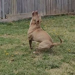 Meet your Posher, Claire